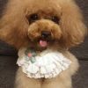 Retro Style Handmade Lace Collars Cute Flower Dog Necklace Collars 8.2-11.2"